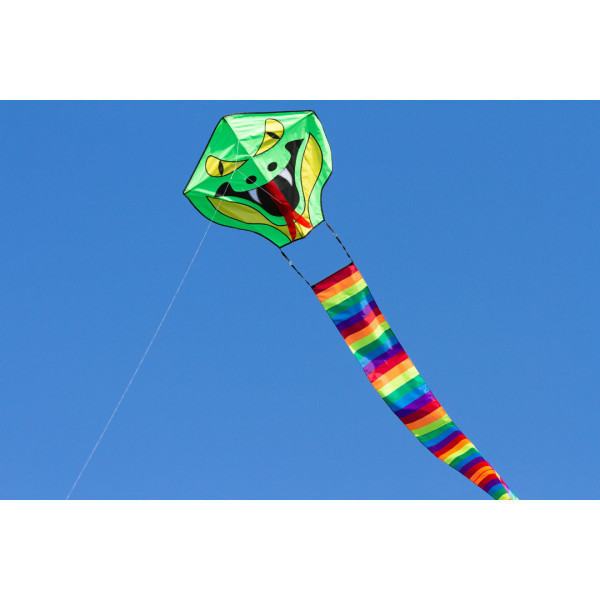 Simple Flyer Rainbow 120 cm