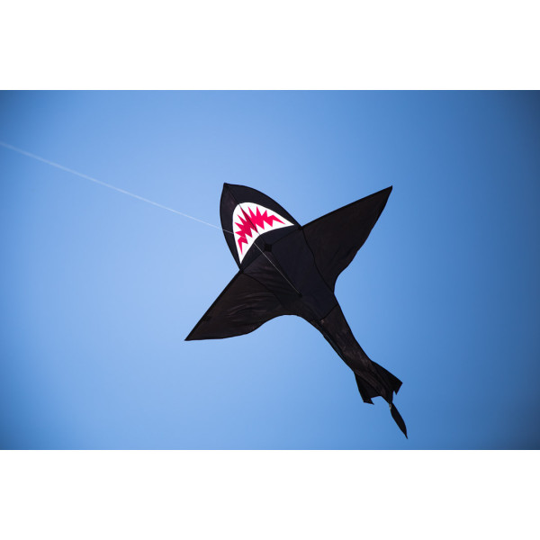 Shark Kite 7'