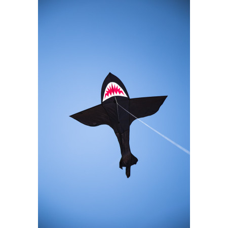 Shark Kite 7'